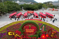 且IE内核9.0及